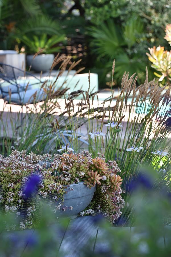 Vilacqua Boutique Guest Villa Plettenberg Bay Exterior photo